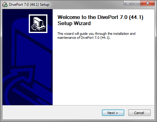 The DivePort Setup Wizard window.
